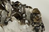 Gemmy Cassiterite Crystals With Quartz - Viloco Mine, Bolivia #192174-2